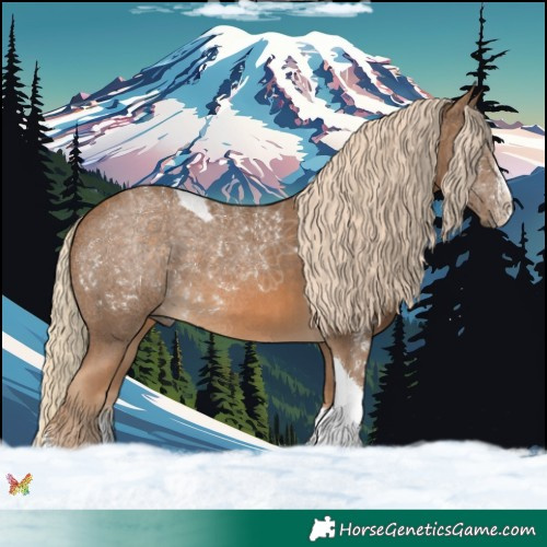 Horse Color:Chocolate Palomino Sabino Tobiano 