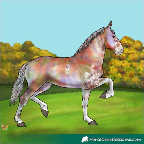 Horse Color:Nacre White Spotted Silver Bay Onyx 