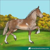 Horse Color:Chocolate Palomino Tobiano 