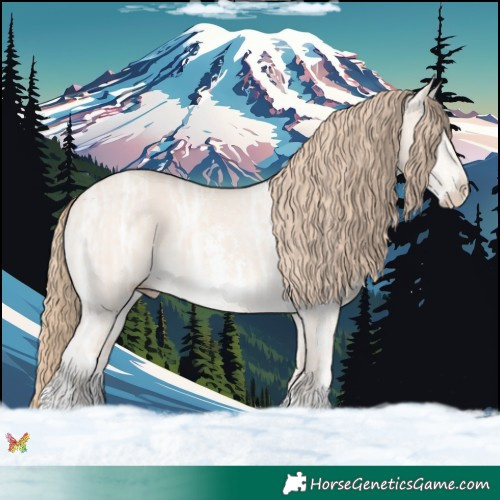 Horse Color:Perlino Ice Dun Sabino 