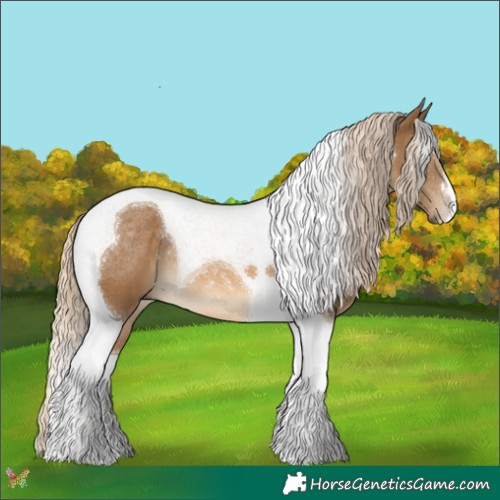 Horse Color:Chocolate Palomino Tobiano