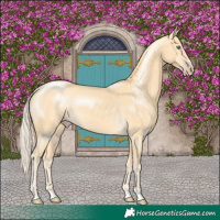 Horse Color:Gold Cream Champagne 