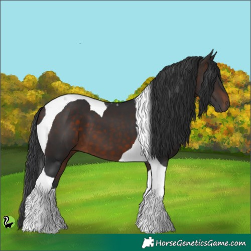 Horse Color:Brown Tobiano 