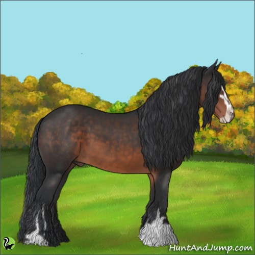 Horse Color:Brown Sabino 