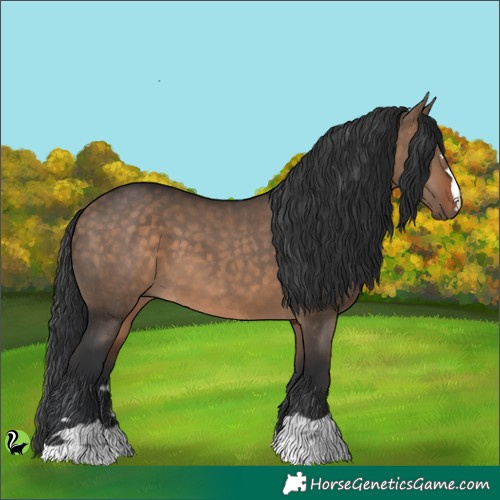 Horse Color:Brown Dun 