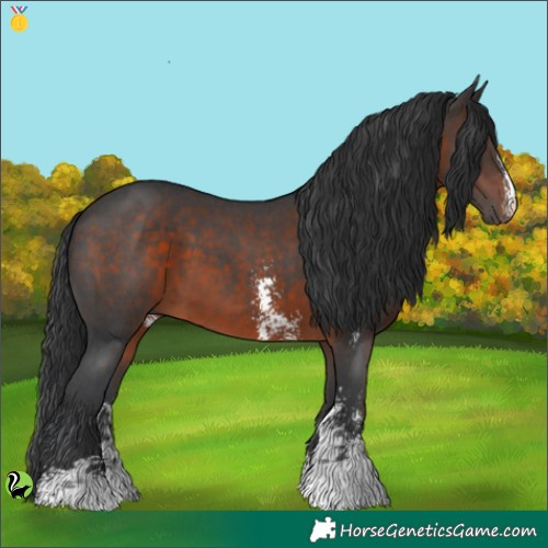 Horse Color:Brown Sabino