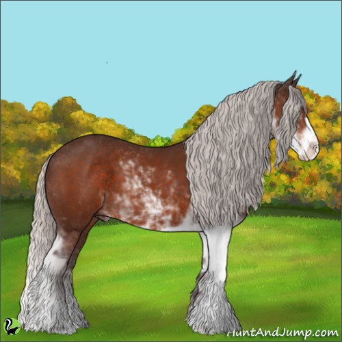 Horse Color:Silver Bay Sabino 