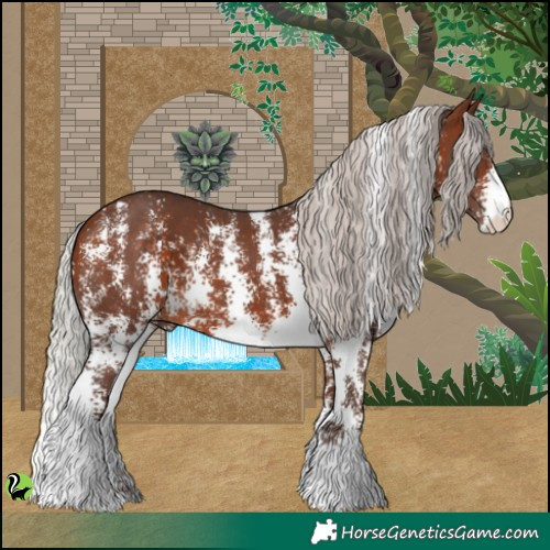 Horse Color:Silver Bay Sabino 