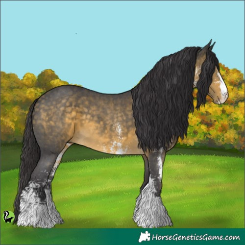 Horse Color:Buckskin Sabino 