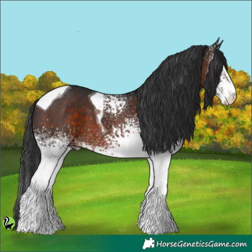 Horse Color:White Spotted Brown Tobiano 
