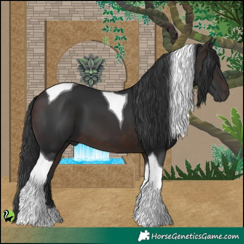 Horse Color:Brown Tobiano 