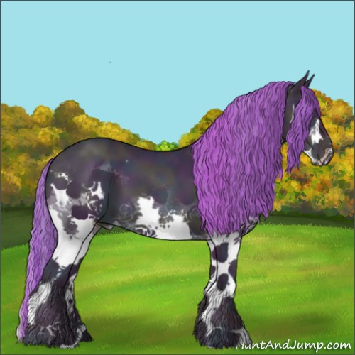 Horse Color:Watercolor Midnight Amber Champagne Pearl Splash 
