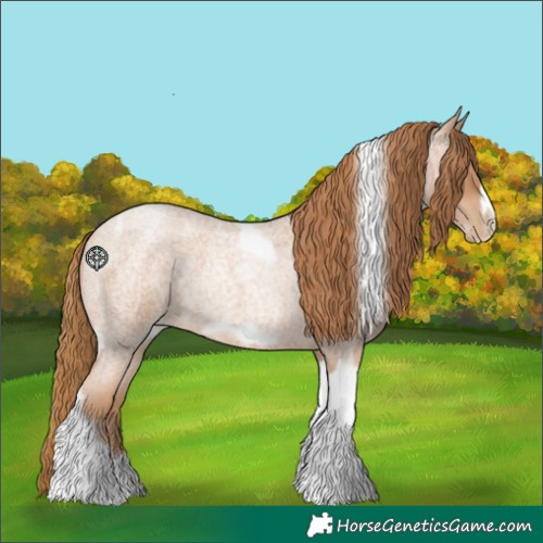 Horse Color:Red Roan Pearl Tobiano Frame