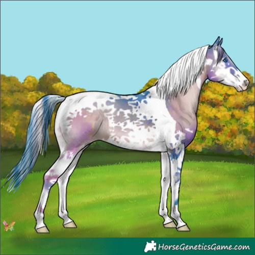 Horse Color:Watercolor Brown Onyx Splash Tobiano 