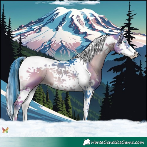 Horse Color:Watercolor Brown Onyx Splash Tobiano 