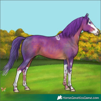 Horse Color:Watercolor Liver Chestnut Splash 