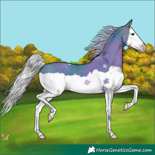 Horse Color:Watercolor Silver Brown Splash 