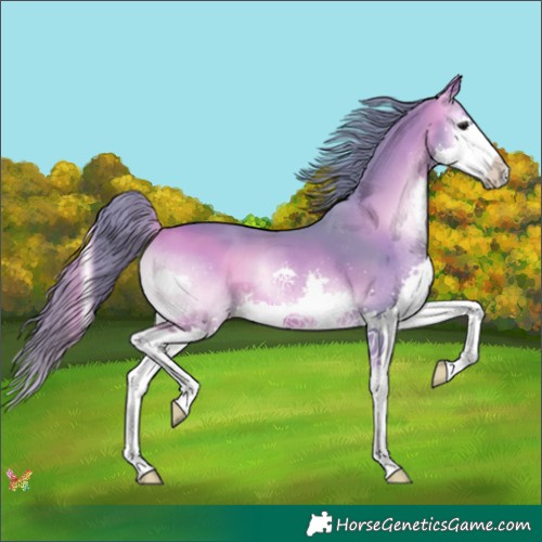Horse Color:Watercolor Brown Onyx Splash 