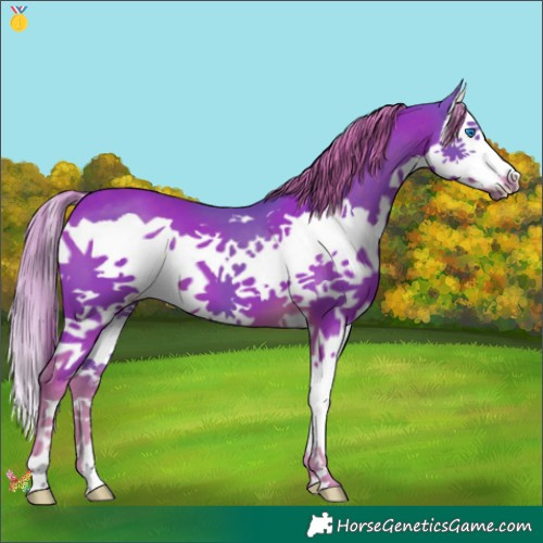 Horse Color:Watercolor Liver Chestnut Splash 