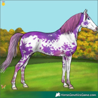 Horse Color:Watercolor Liver Chestnut Splash 