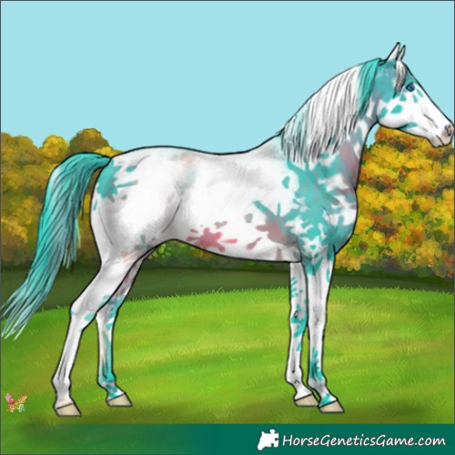 Horse Color:Watercolor White Spotted Brown Splash 