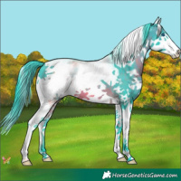 Horse Color:Watercolor White Spotted Brown Splash 