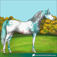 Horse Color:Watercolor White Spotted Brown Splash