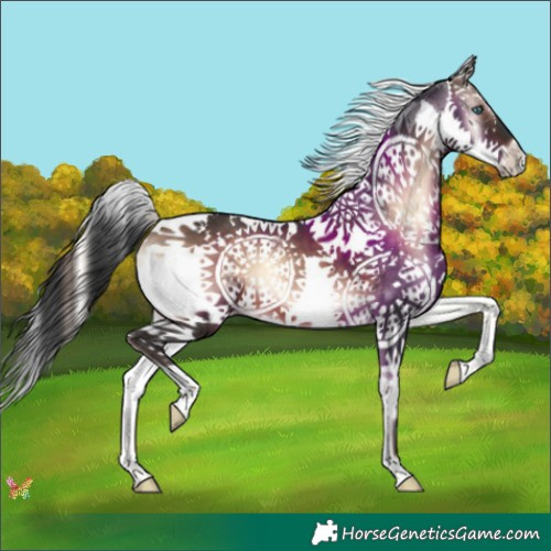 Horse Color:Brown Onyx Splash Tobiano 