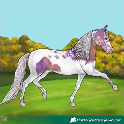 Horse Color:Watercolor Silver Black Splash Tobiano 