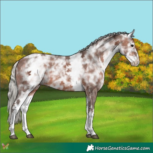 Horse Color:White Spotted Silver Bay Ice Sabino 