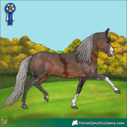 Horse Color:Silver Brown Ice Sabino Tobiano