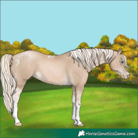 Horse Color:Chocolate Palomino Pearl Tobiano Frame  and Chocolate Palomino Pearl Tobiano Frame 
