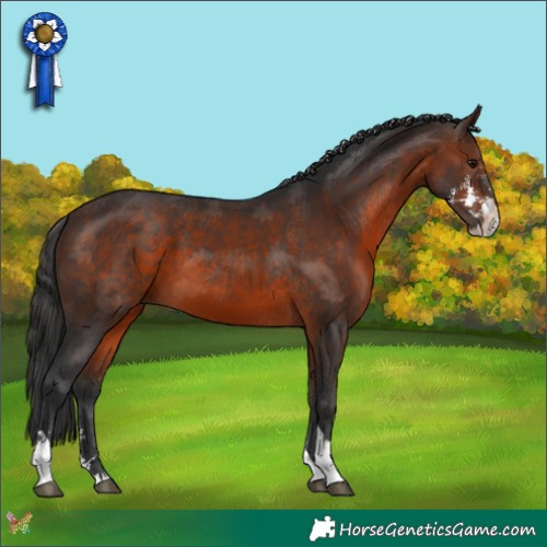 Horse Color:Brown Sabino Tobiano