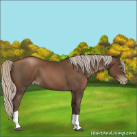 Horse Color:Gray Silver Black Pearl Tobiano 