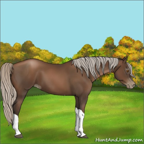 Horse Color:Gray Silver Black Pearl Tobiano