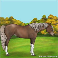 Horse Color:Gray Silver Black Pearl Tobiano 