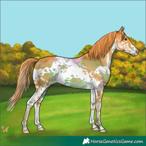 Horse Color:Watercolor Liver Chestnut Splash 