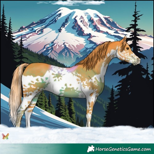 Horse Color:Watercolor Liver Chestnut Splash 