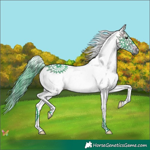 Horse Color:Watercolor White Spotted Brown Splash 