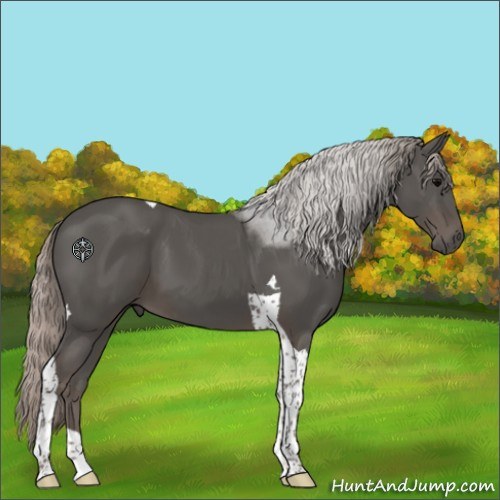 Horse Color:Silver Black Tobiano 