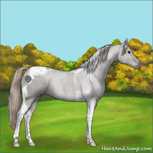 Horse Color:Silver Black Tobiano 