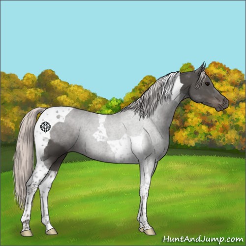 Horse Color:Silver Black Tobiano 