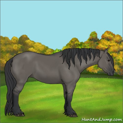 Horse Color:Grullo 