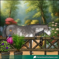 Horse Color:Black Sabino 