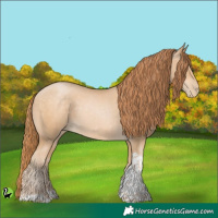 Horse Color:Buckskin Pearl Tobiano 
