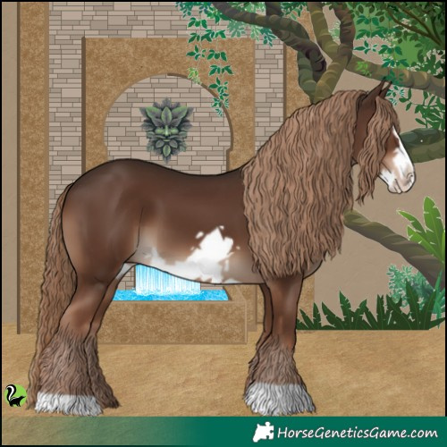 Horse Color:Liver Chestnut Frame 