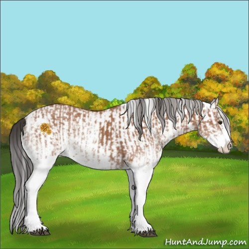 Horse Color:White Spotted Bay Splash  and White Spotted Bay Splash 