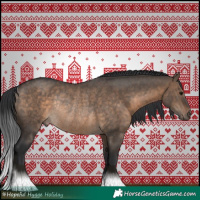 Horse Color:Brown Dun Rabicano 