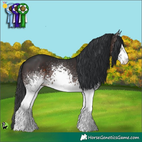 Horse Color:White Spotted Brown 