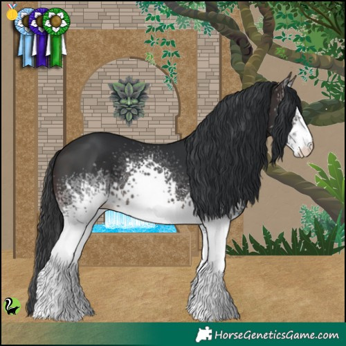 Horse Color:White Spotted Brown 